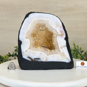 Standard Plus Quality Citrine Cathedral, 13.9 lbs & 7.9&quot; Tall #5603-0354 by Brazil Gems®