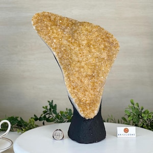 Extra Quality Citrine Cluster on Cement Base, 9.8 lbs and 12.5&quot; Tall #5615-0066 by Brazil Gems®