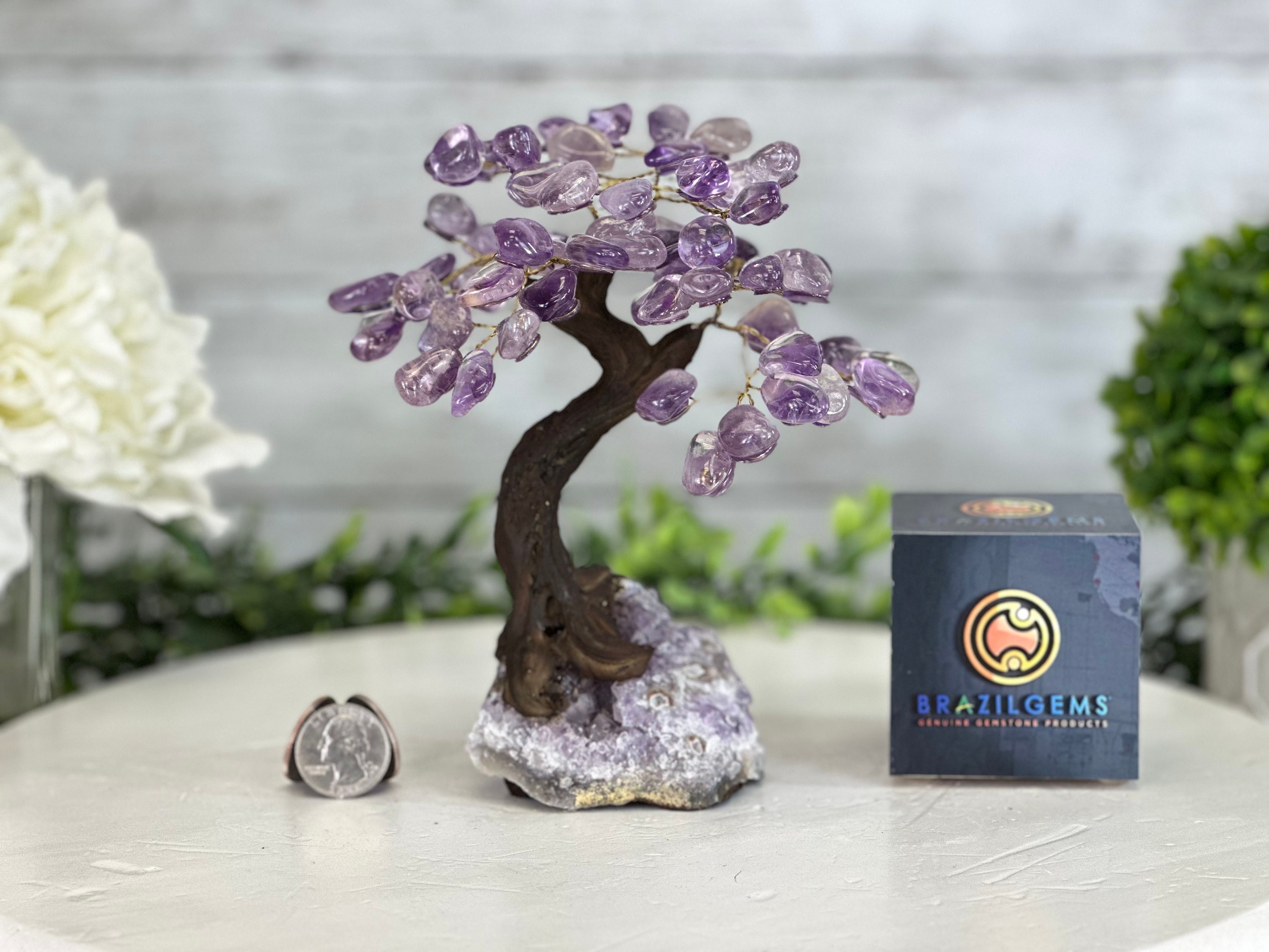 bonsai substrat selber machen Bonsai-Substrat – mineralische Mischung für flache Gefäße main image 0