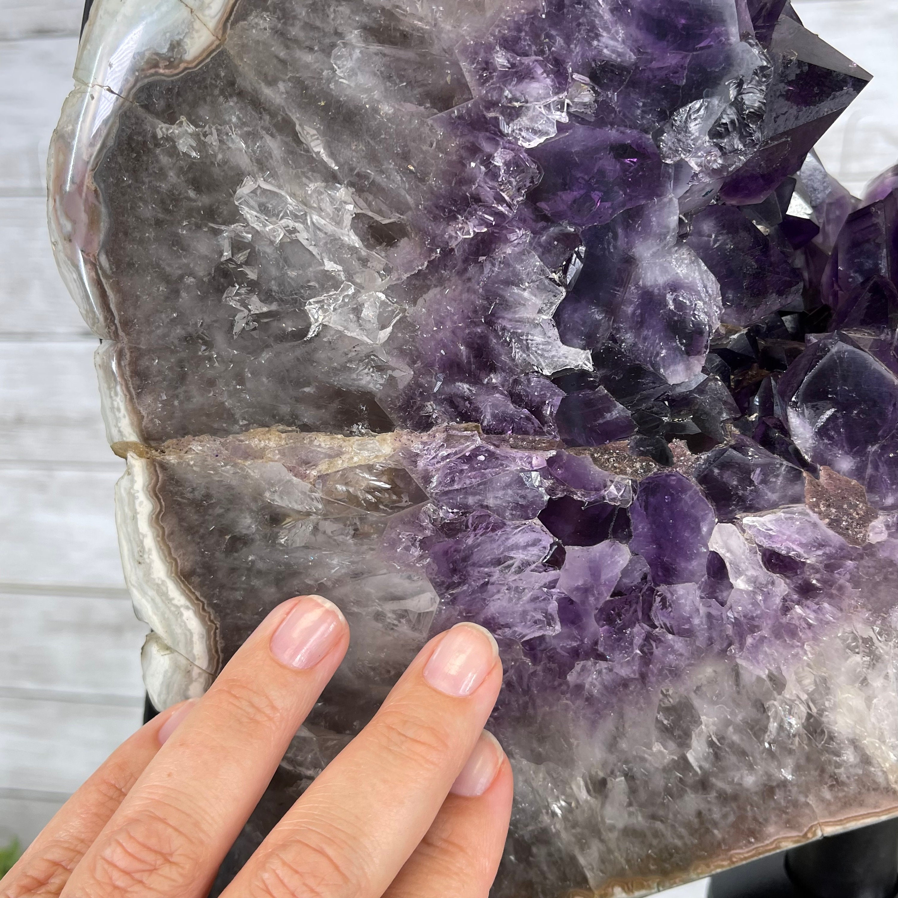 NUTSOUTDOOR BRIESTA amethyst ブリエスタ アメジスト Super Quality Brazilian Amethyst Slice/ring on a Tall