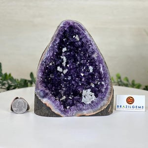 Small Extra Plus Quality Amethyst Cluster Flat Base, 5.8&quot; Tall #5611-0878 by Brazil Gems®