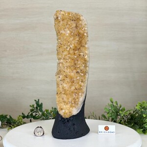 Extra Quality Citrine Cluster on Cement Base, 8.4 lbs and 13.4&quot; Tall #5615-0060 by Brazil Gems®