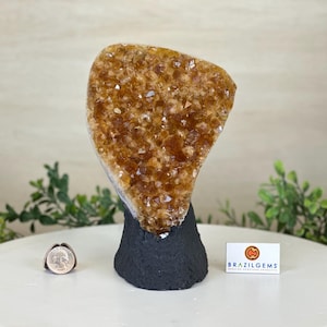 Extra Quality Citrine Cluster on Cement Base, 4.6 lbs and 7.9&quot; Tall #5615-0048 BY Brazil Gems®