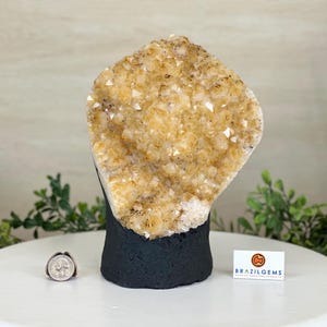 Extra Quality Citrine Cluster on Cement Base, 7.9 lbs and 8.8&quot; Tall #5615-0057 by Brazil Gems®