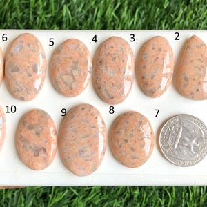 Cabochão de jaspe dálmata rosa de alta qualidade, atacado de cabochão de jaspe dálmata para joias e artesanato, lote 157