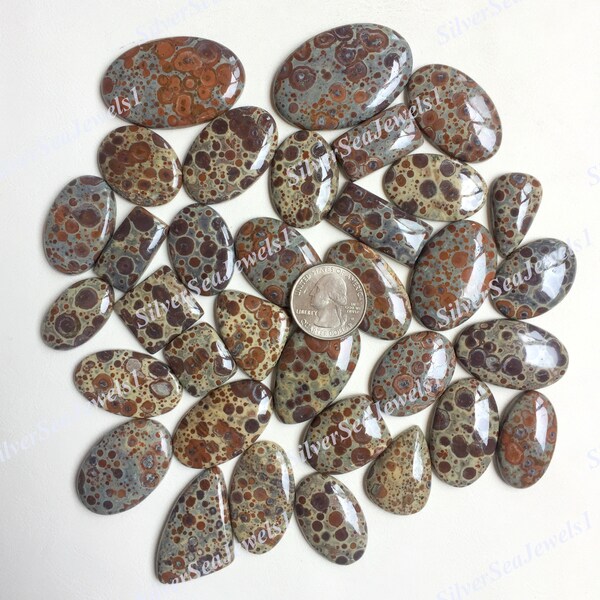 Asteroid Jasper Cabochon Wholesale Lot, Natural Asteroid Jasper Cabochon for Jewellery Making, DIY,