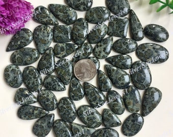 May include: A collection of polished leopard skin jasper gemstones in various shapes, including ovals, teardrops, and rectangles. The stones feature a mottled pattern of dark green and gray, with a quarter for size reference. The gemstones are arranged on a white surface.