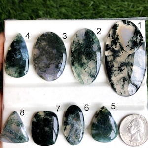 May include: Assortment of eight polished moss agate gemstones in various shapes, including oval, teardrop, and rectangular. The stones display green, white, and gray patterns. A quarter is included for size reference.