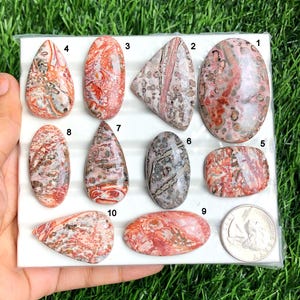 Leopard Skin Jasper Cabochon, Natural Leopard Skin Gemstone for Jewelry Making, Hand Polished Cabs, Gift For Her Lot-252