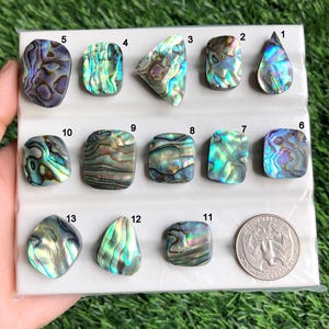 May include: An assortment of iridescent abalone shell cabochons in diverse shapes, including teardrop, square, and irregular forms. The shells exhibit a spectrum of colours, such as blue, green, purple, and gold. A coin is included for size reference.