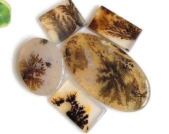 Scenic Agate Wholesale Mix Shape Cabochon, 9 to 23mm Approx 10Pcs Lot Healing Gemstone for Rings and Jewelry Making 69892