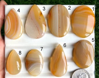 Pode incluir: Oito pedras preciosas de ágata polida em várias formas e tamanhos, incluindo ovais e em forma de gota. As pedras exibem faixas de cores laranja, amarelo e creme. Uma moeda de um quarto de dólar está incluída para referência de tamanho. As pedras estão em uma superfície branca.