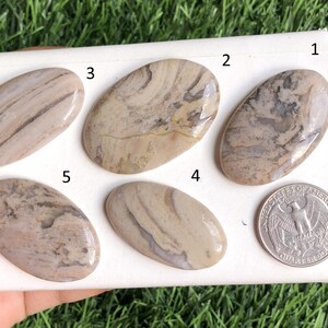 Cabochão de jaspe café, lote de atacado, formato e tamanho variados, cabochão de jaspe café para joias, lote 180