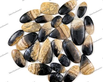 Top Quality Palm Root Agate, Wholesale Lot, Mix Shape and Size, Beautiful Palm Root Agate Cabochon For Jewelry Making DIY, Power Geodes,