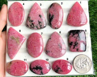 May include: A collection of eleven polished rhodonite gemstones in various shapes, including oval, teardrop, and rectangular. The stones display a vibrant pink hue with black veining. A silver coin is included for size reference.