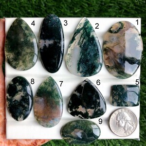 May include: Assortment of polished moss agate gemstones in various shapes, including oval, teardrop, and rectangular. The stones display green, white, and brown patterns. A quarter is included for size reference.