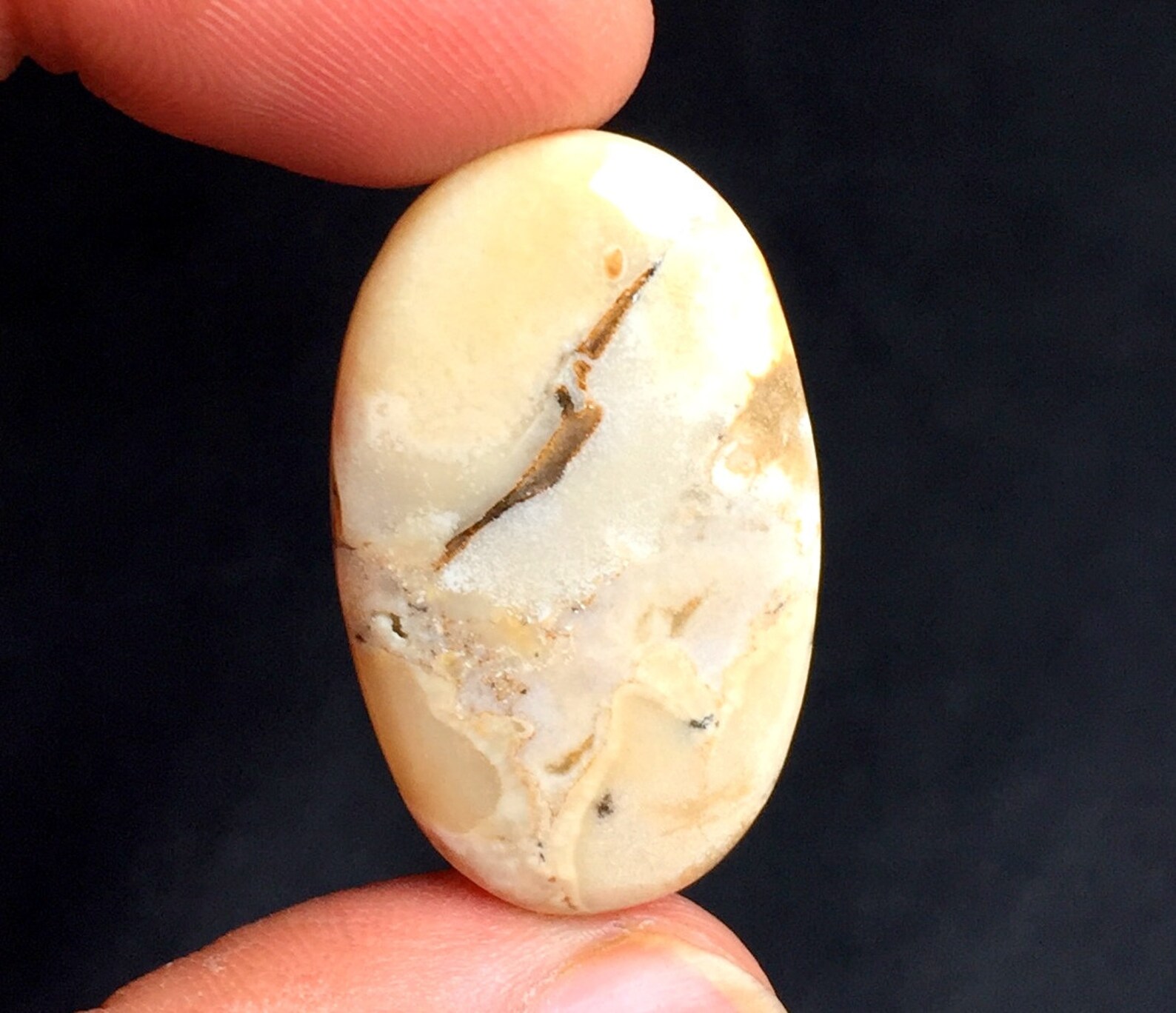 cobra jasper meaning cobra jasper meaning