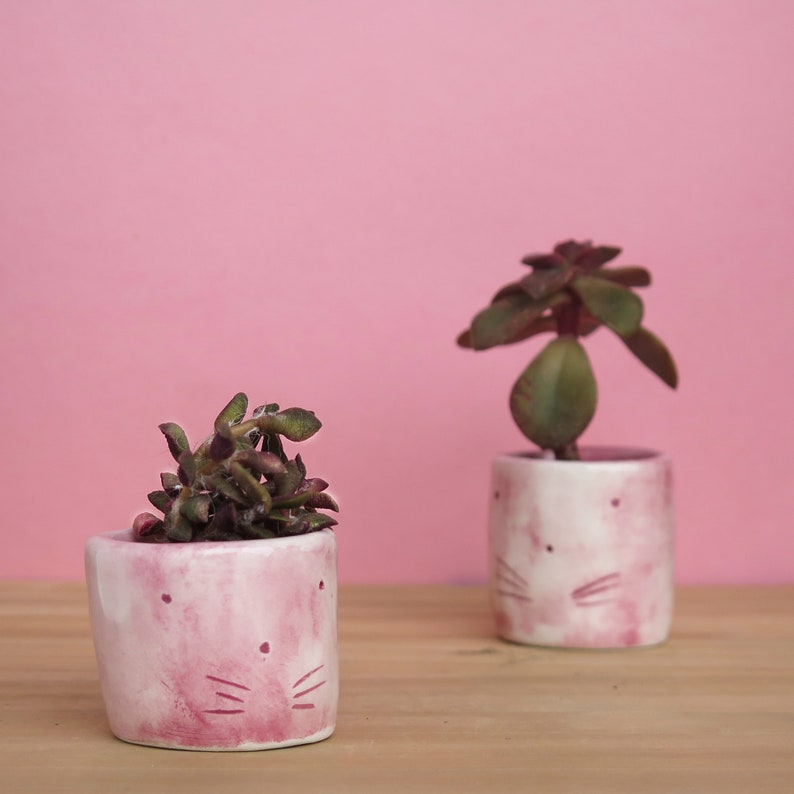 Pink Cat Planters for cat lover gift