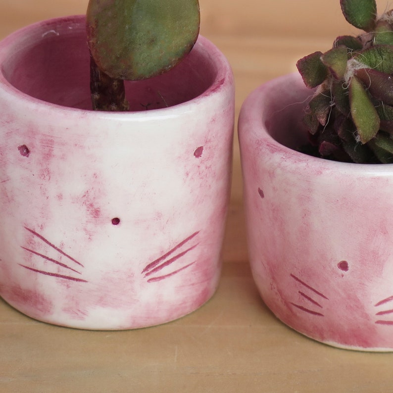 Pink Cat Planters for cat lover gift