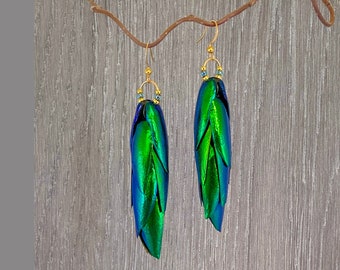 May include: A pair of earrings featuring iridescent green beetle wings, suspended from gold-toned hooks. The wings are arranged in a layered, cascading design, creating a unique and eye-catching statement.