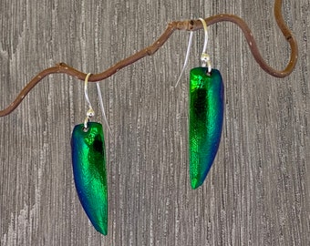 May include: A pair of iridescent green and blue earrings with silver hooks. The earrings are shaped like a long, narrow teardrop.