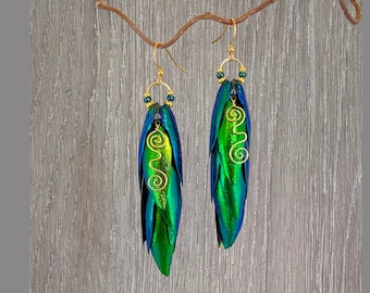 Iridescent Natural Blue Green Beetle Wing Earrings With Handcrafted Accent Wire Curl in Gold