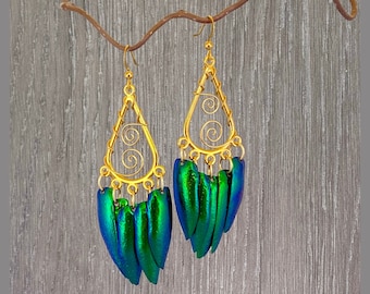 May include: Gold dangle earrings with a teardrop-shaped wire frame and multiple iridescent green beetle wing accents.