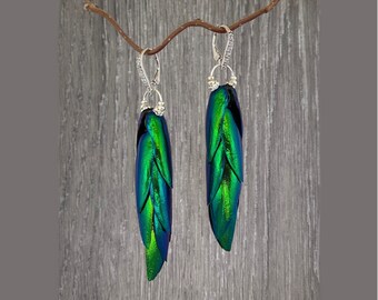 May include: A pair of dangle earrings featuring iridescent green beetle wings with silver accents. The earrings are hanging from a branch.