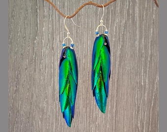 May include: A pair of silver earrings with green and blue iridescent beetle wing accents.