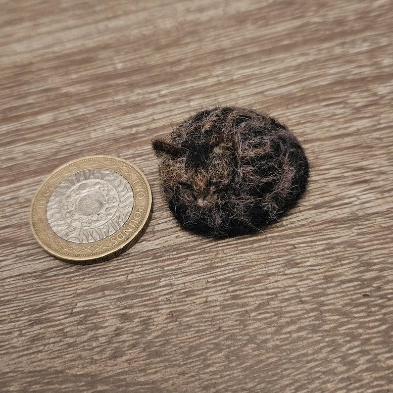 Example of a 3cm tabby