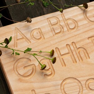 Op de afbeelding: Een houten alfabet traceerbord met uitgesneden hoofdletters en kleine letters. Het bord is gemaakt van lichtgekleurd hout en bevat de letters A, B, C, G, H, I en O. Groene takjes met kleine bruine knoppen zijn op het bord geplaatst.