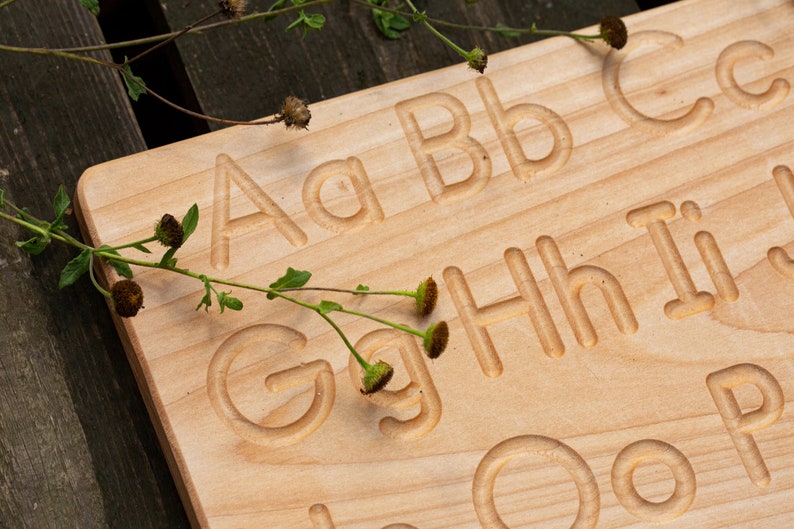 Op de afbeelding: Een houten alfabet traceerbord met uitgesneden hoofdletters en kleine letters. Het bord is gemaakt van lichtgekleurd hout en bevat de letters A, B, C, G, H, I en O. Groene takjes met kleine bruine knoppen zijn op het bord geplaatst.