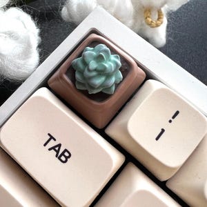 May include: A small succulent plant in a brown pot, placed on a white keyboard with the keys "TAB" and "!" visible. The keyboard is on a dark surface.