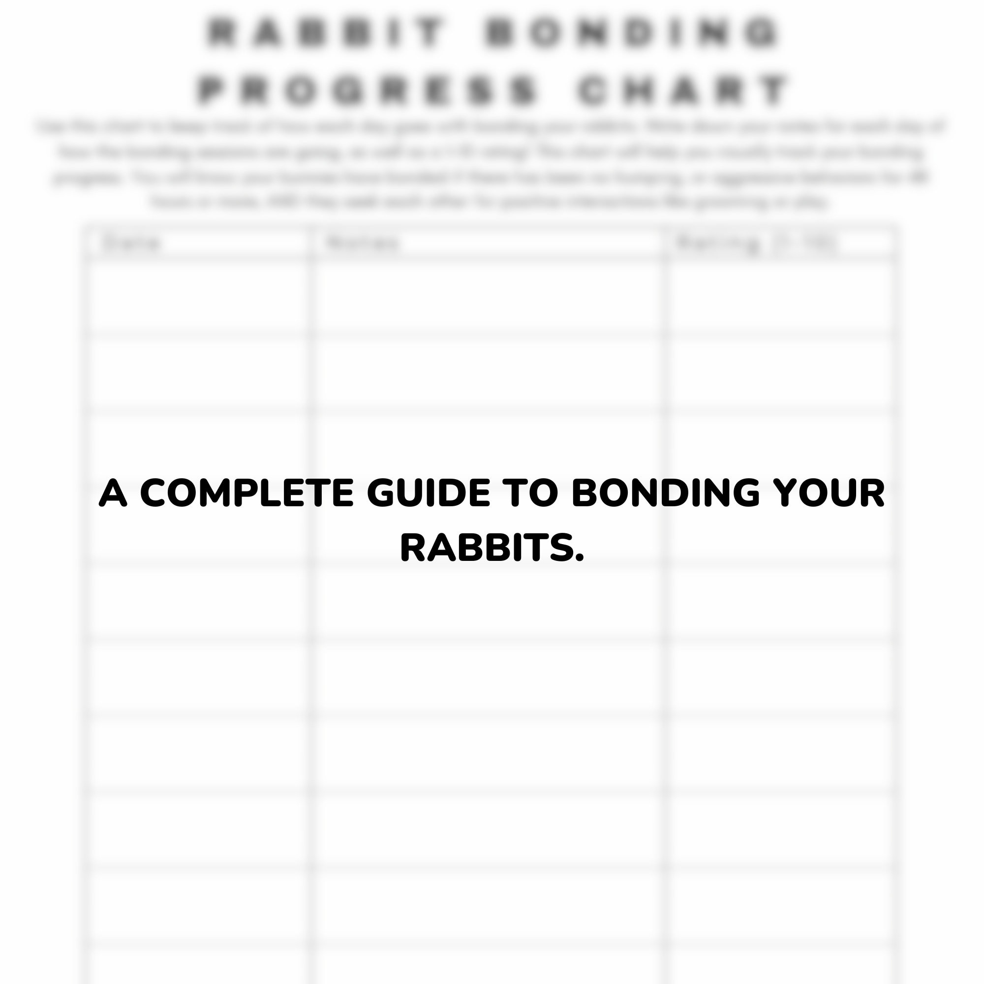 HOW TO: Bond Your Rabbits - Digital Guide - Etsy