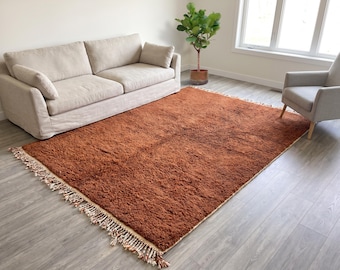 Terracotta Moroccan Beni Ourain Rug, Plush Shag Wool Area Rug