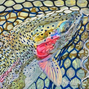 Mirrored Rainbow 25 x 25 (newest arrival) limited edition fine art print