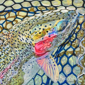 Mirrored Rainbow 20x 20 (newest arrival) limited edition fine art print