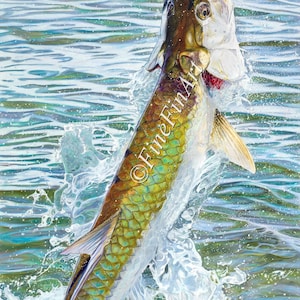 Puede incluir: Una pintura de un pez tarpon saltando fuera del agua, con la boca abierta y las escamas visibles. El agua es de color azul claro con salpicaduras blancas. La pintura está firmada "Kiera Foster" en la esquina inferior derecha.
