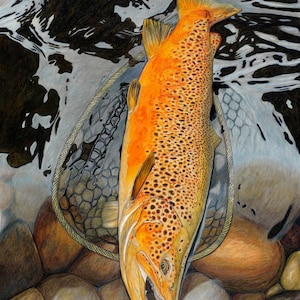 The One 20.5 x 15 (New Arrival) Limited Fine Art Print