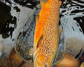 The One 20.5 x 15 (New Arrival) Limited Fine Art Print