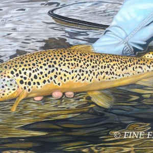 Stream Leopard 16 x 26 limited edition fine art print