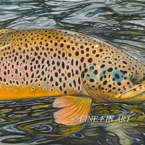 Elusive 13x 20 Limited Edition Fine Art Print