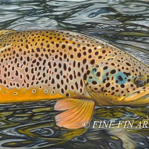 Elusive 20 x 30 Limited Edition Fin Art Print