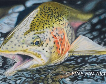 Swift Water Rainbow 16 x 24 limited edition fine art print