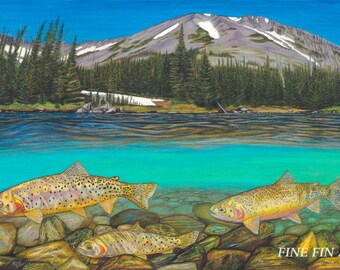 High Country Cutthroats 17.5 x 28 limited fine art print