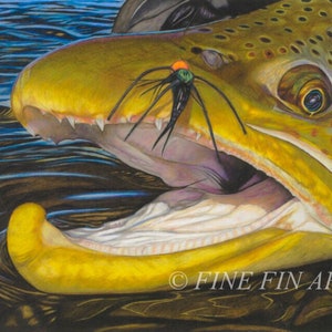 Gator Brown 16 x 21.5 limited edition fine art print
