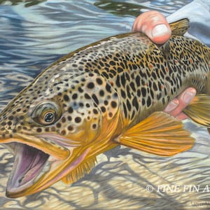 Trout Pose 18x 24 limited edition fine art print