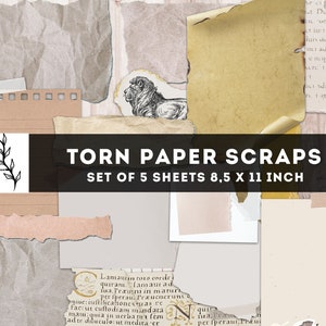 Ritagli di carta strappata, pezzo di carta, frammenti di carta, carta Junk Journal Fussy Cut, carta digitale, carta scrapbook stampabile, download istantaneo
