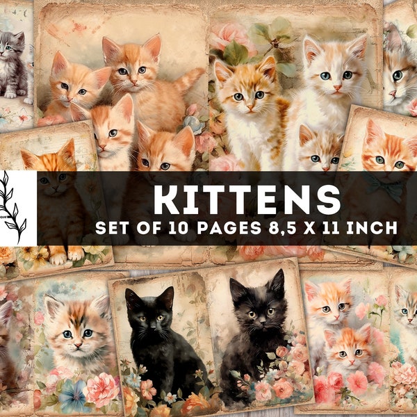 Kittens Junk Journal Kit, Cute Baby Cat Paper, Digital Journaling Pages, Shabby Chic Animal Pages, Junk journal supplies, Instant Download