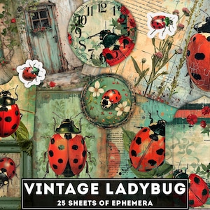 Kit diario vintage Ladybug Junk, progetto digitale stampabile, carta, orologi, pittura di effimeri, tagli elaborati, buste e tasche, download